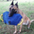 Грызак для собаки «Amazing Dog Training» из french linen