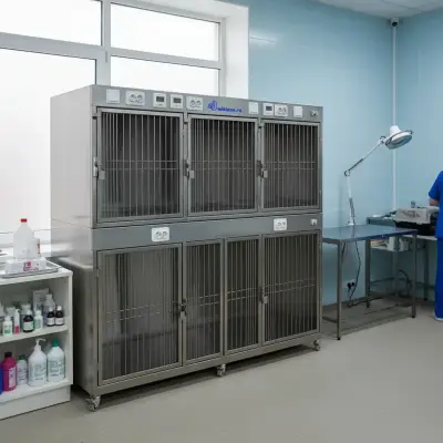 Модуль (стационар) wikiVET 5 клеток 2 яруса из нержавеющей стали 0004