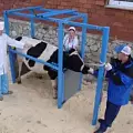 Приспособления для фиксации животных