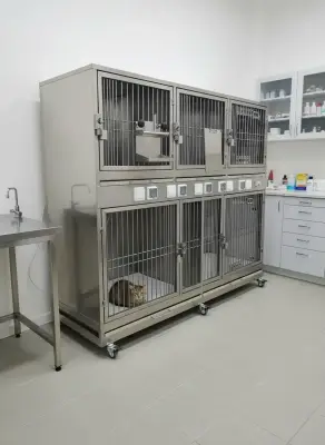 Модуль (стационар) wikiVET 5 клеток 2 яруса из нержавеющей стали 0006