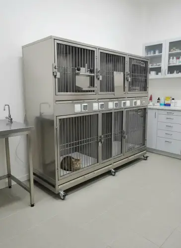 Модуль (стационар) wikiVET 5 клеток 2 яруса из нержавеющей стали 0006