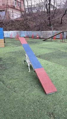 Качели для собаки wikiLAB для аджилити