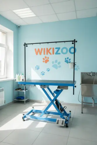 Стол для груминга MF wikiGROOM S801 Черничный пирог c розетками и органайзером