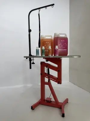 Стол прямоугольный S4 CandyGroom Клубничная помадка 70 x 50 х 68 - 94 см