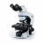 Микроскоп Olympus CX43 Микроскоп Olympus CX43