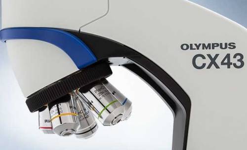 Микроскоп Olympus CX43