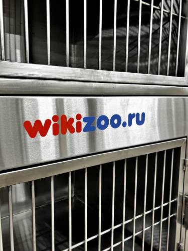 Модуль (стационар) wikiVET 8 клеток 3 яруса из нержавеющей стали 0001