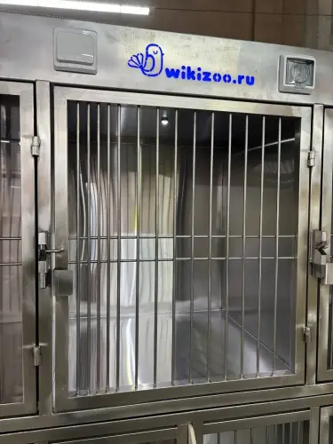 Модуль (стационар) wikiVET 5 клеток 2 яруса из нержавеющей стали 0003