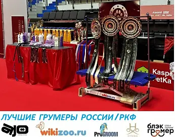 ЛУЧШИЕ ГРУМЕРЫ РОССИИ/РКФ 2026 Санкт-Петербург 01-02 августа