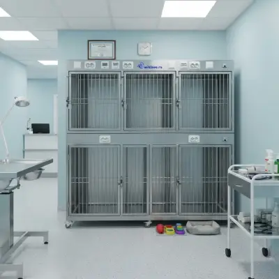 Модуль (стационар) wikiVET 5 клеток 2 яруса из нержавеющей стали 0004