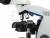 Микроскоп Olympus CX23 Микроскоп Olympus CX23