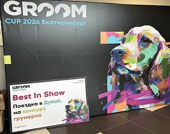 WIKIZOO на Международном конкурсе грумеров GROOM CUP 2026, Екатеринбург
