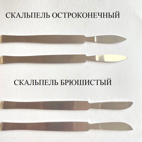 Скальпель ветеринарный