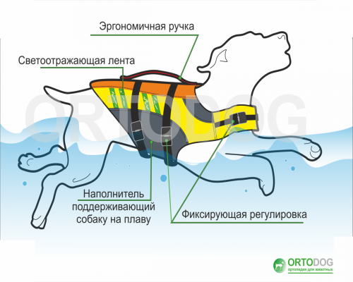 Плавательный жилет